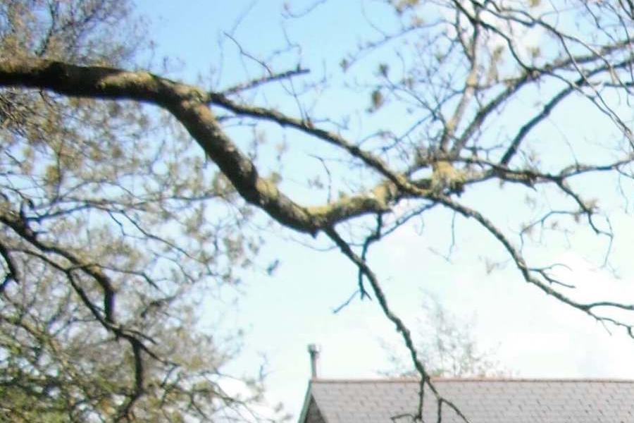 Landscape at Forest View