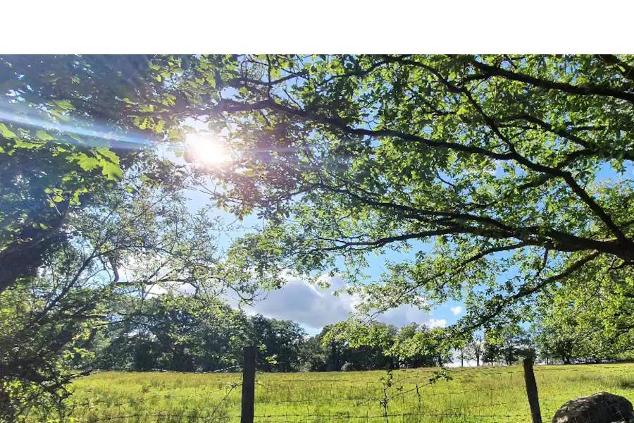 Local views from Harri the Horsebox