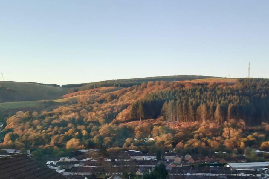 View from Mabon House