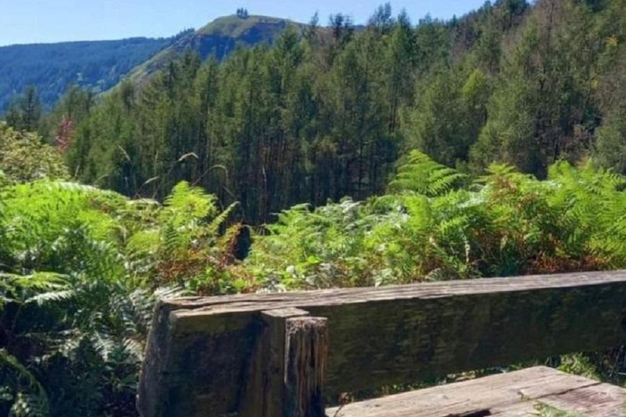 Surroundings of Parc Cottage
