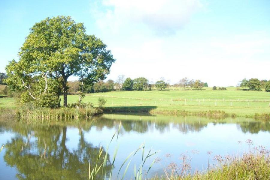 Lake at Tri Nant Fishery