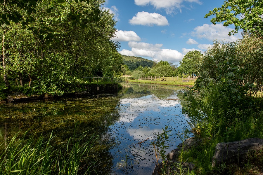 Lake at Barry Sidings