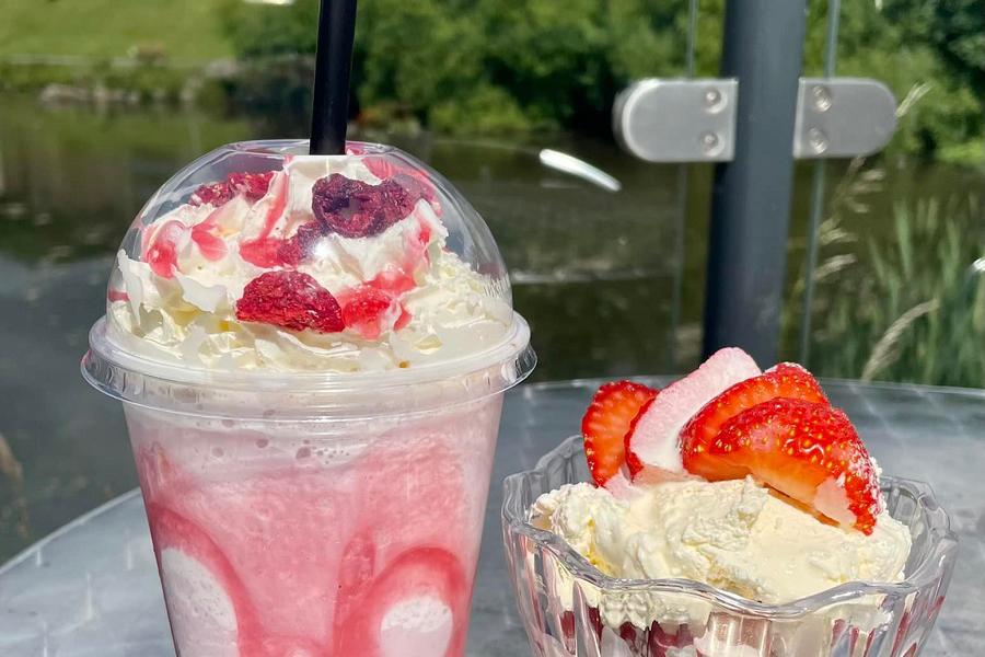 Cwm Clydach milkshakes