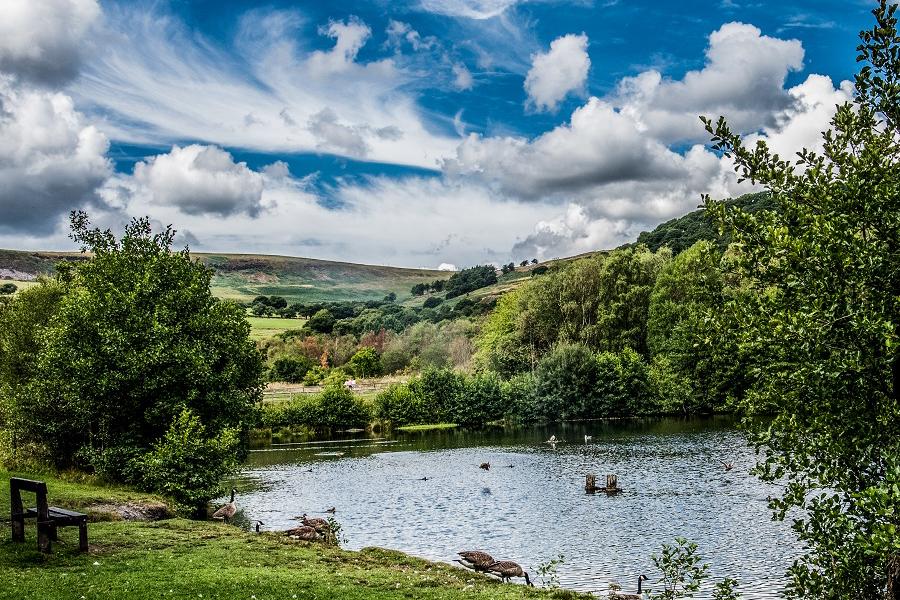 Dare Valley Country Park