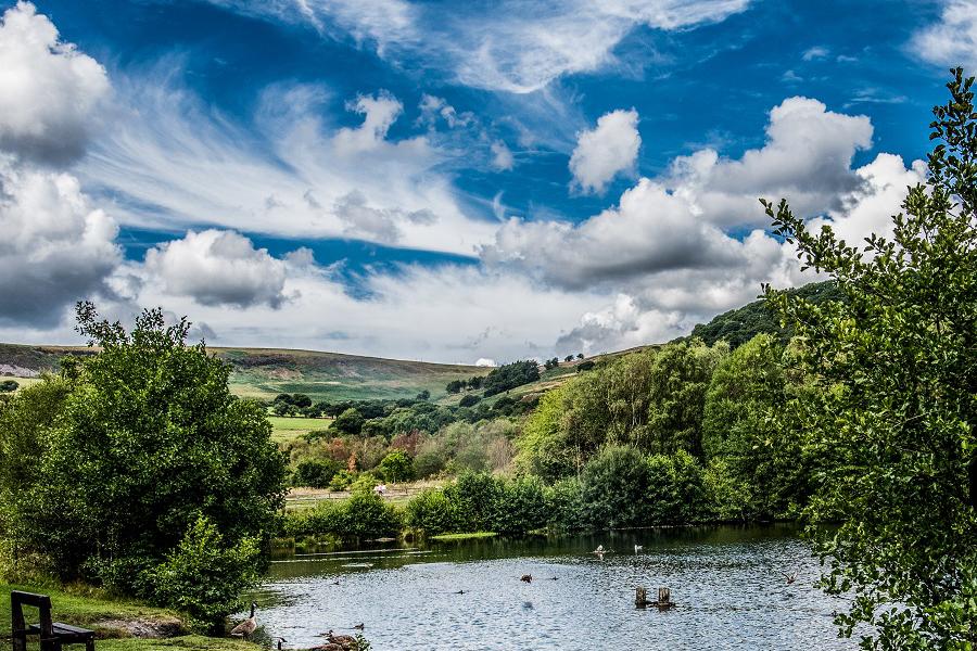 The Aberdare Park to Dare Valley Country Park walk takes you past the lakes