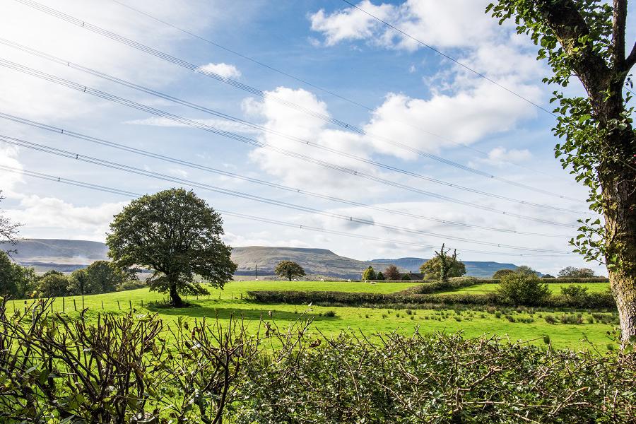Beautiful Penderyn