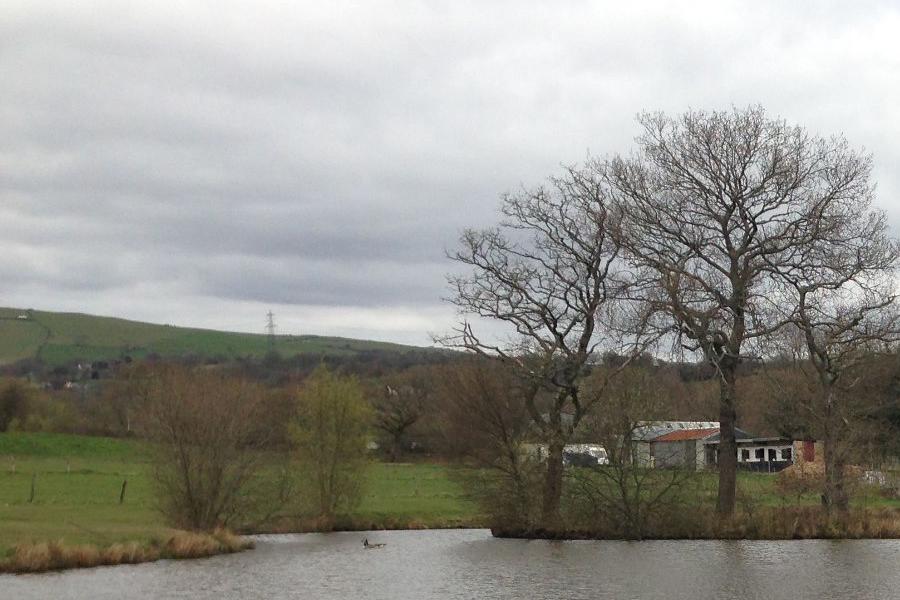 Tri Nant Fishery