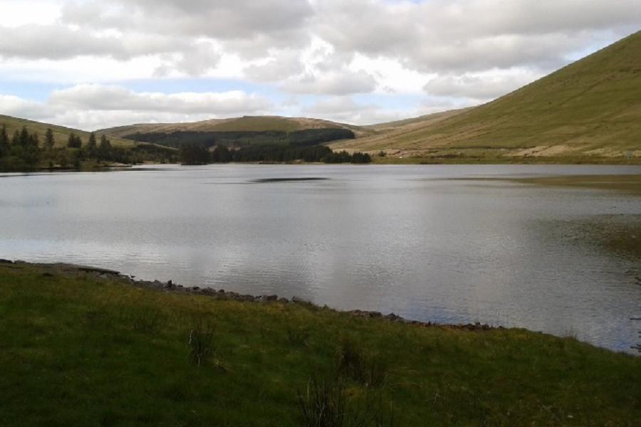 Reservoir fishing