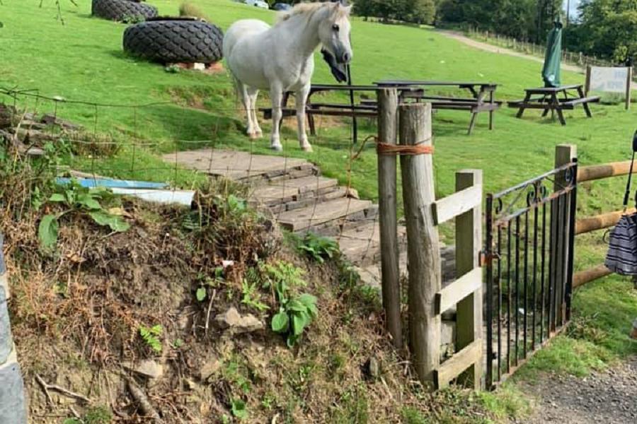 Friendly neighbours