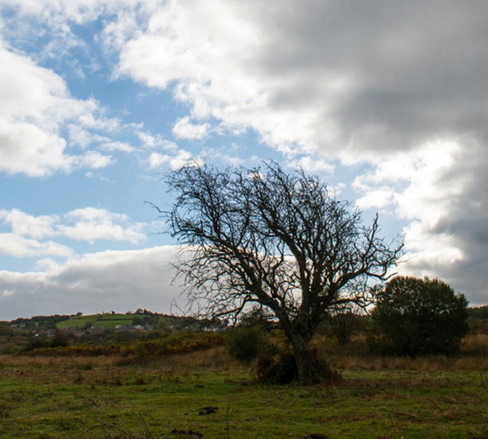 Llantrisant Common