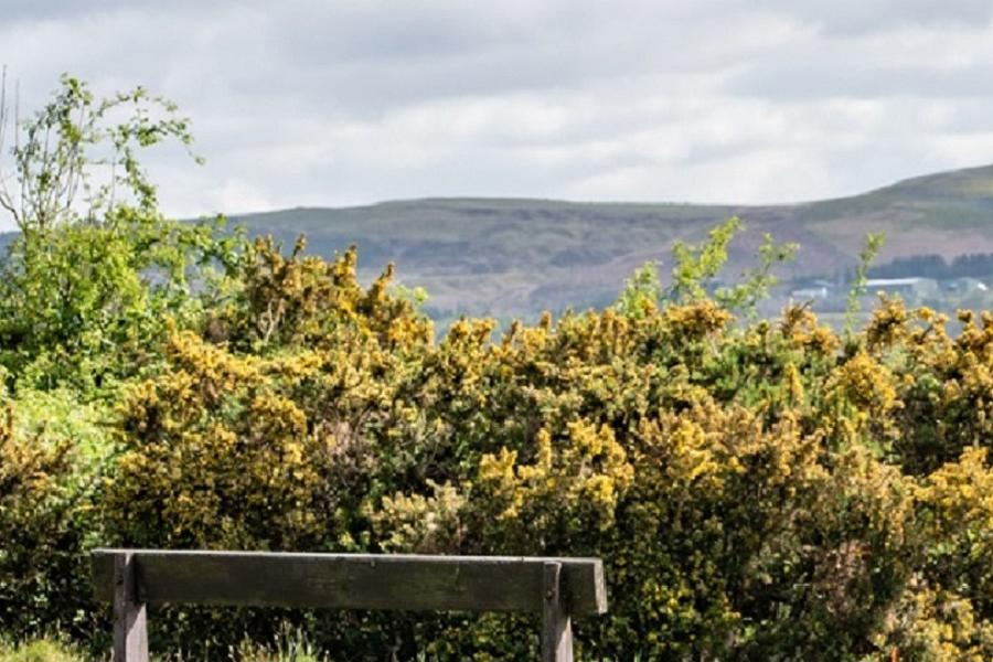 A seat with a view on the route
