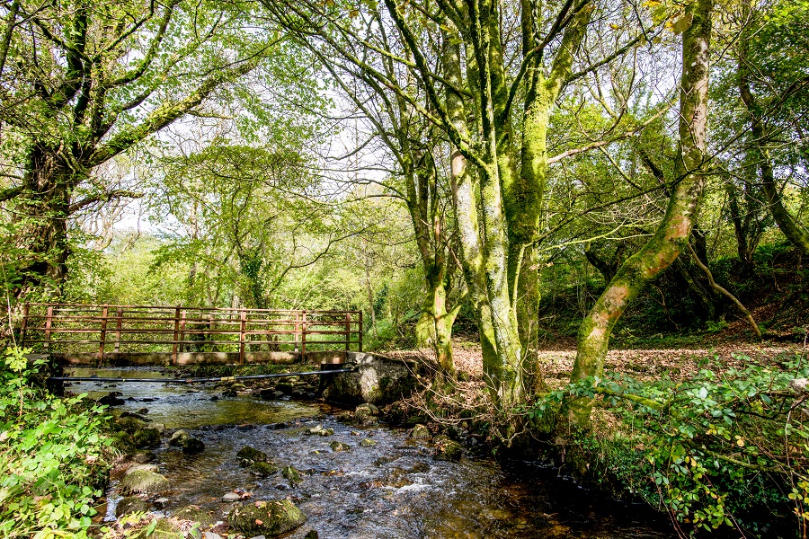Mineral Line - Cynon Trail - Penderyn to Hirwaun-4