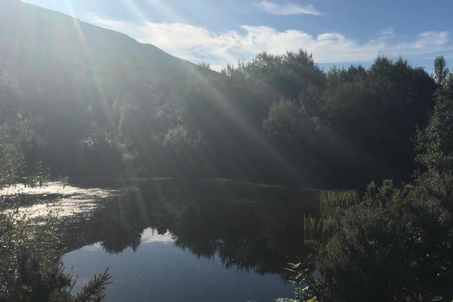 Pond at Ty'n y Bedw Forest