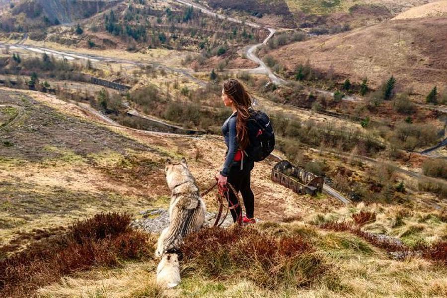 Walks in Rhondda Cynon Taf